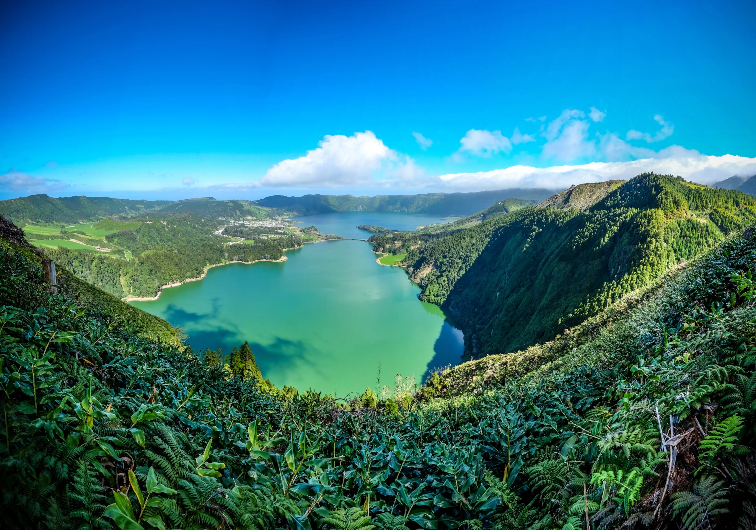Learn about the Vanuatu Development Support Program (DSP), including citizenship application steps, fees, and regulatory compliance assistance for individuals and families.