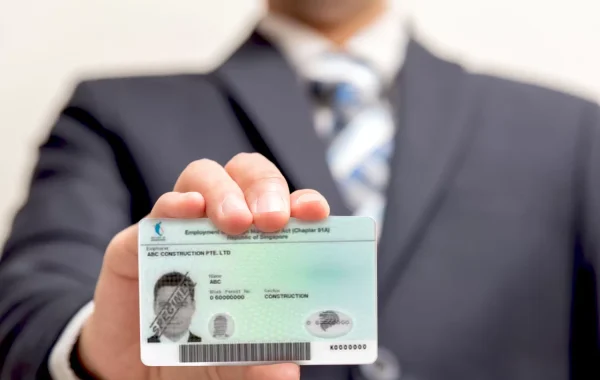 Devino-Singapore Work Visa